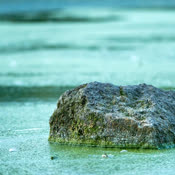 Serene Soundscapes Tranquil Ambient Melodies